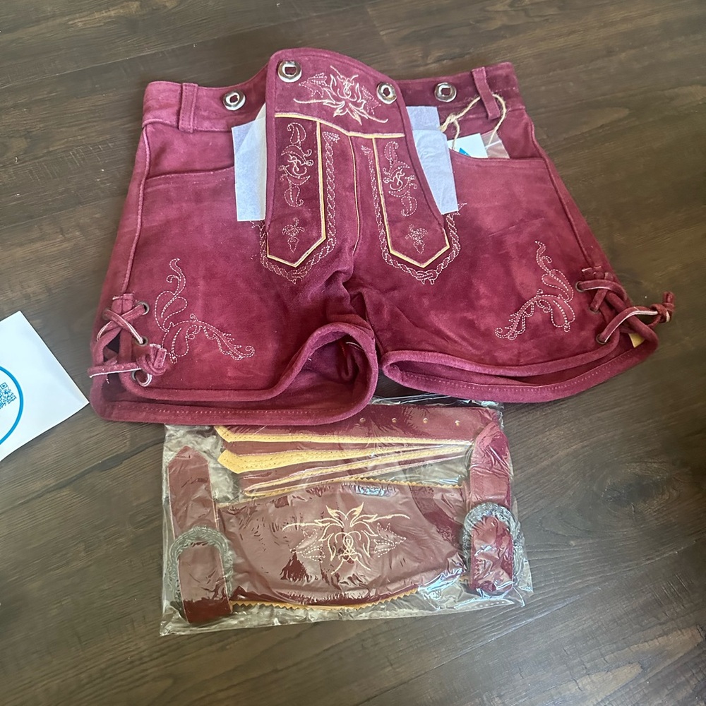 Elegant Embroidered Burgundy Dress